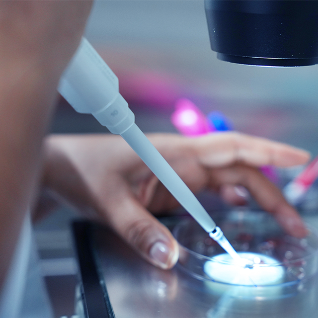 Laboratorio FIV - Producción in vitro de embriones bovinos