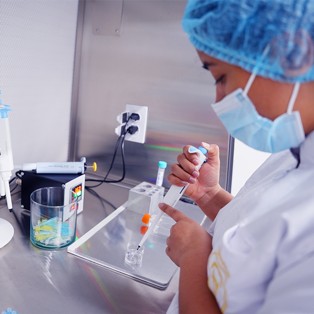 Gestión técnica de campo - OPU y transferencia de embriones