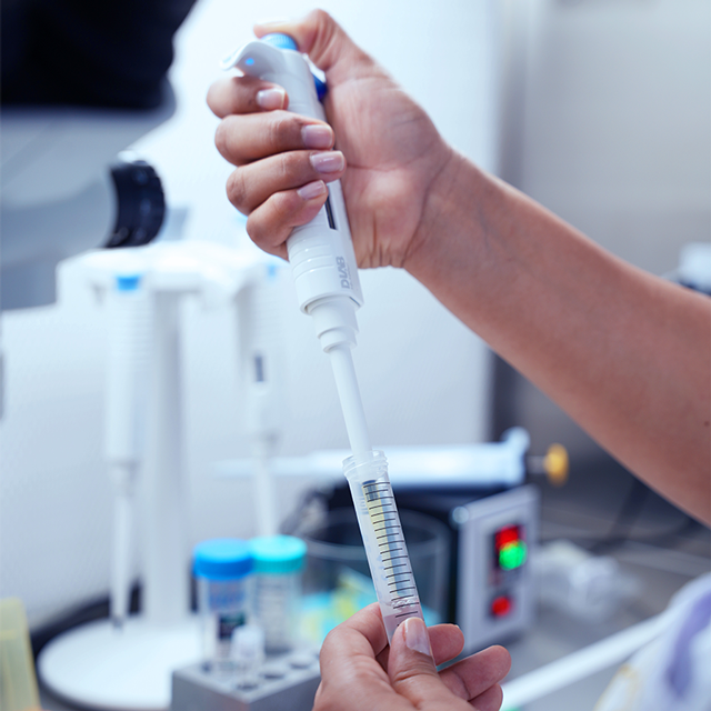 Material genético bovino - Embriones Nelore ciclo corto