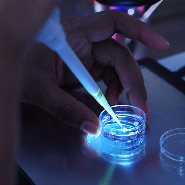 Instalaciones laboratorio EmbrionajeLife